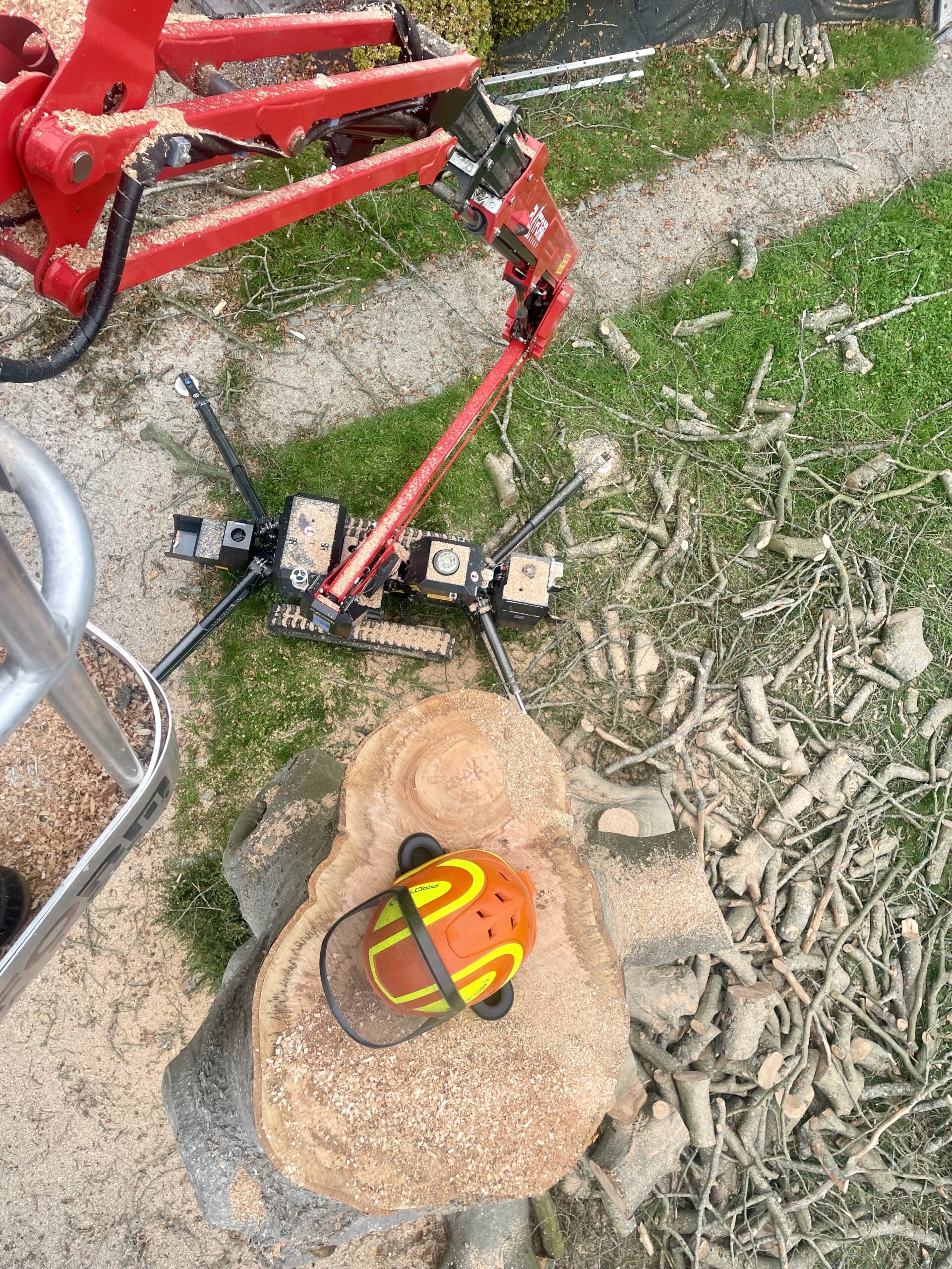 Taille arbres avec nacelle